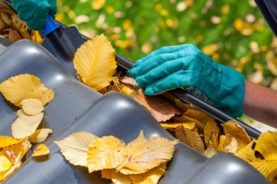 Gutter Cleaning Eastern Suburbs