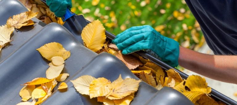 gutter cleaning sydney